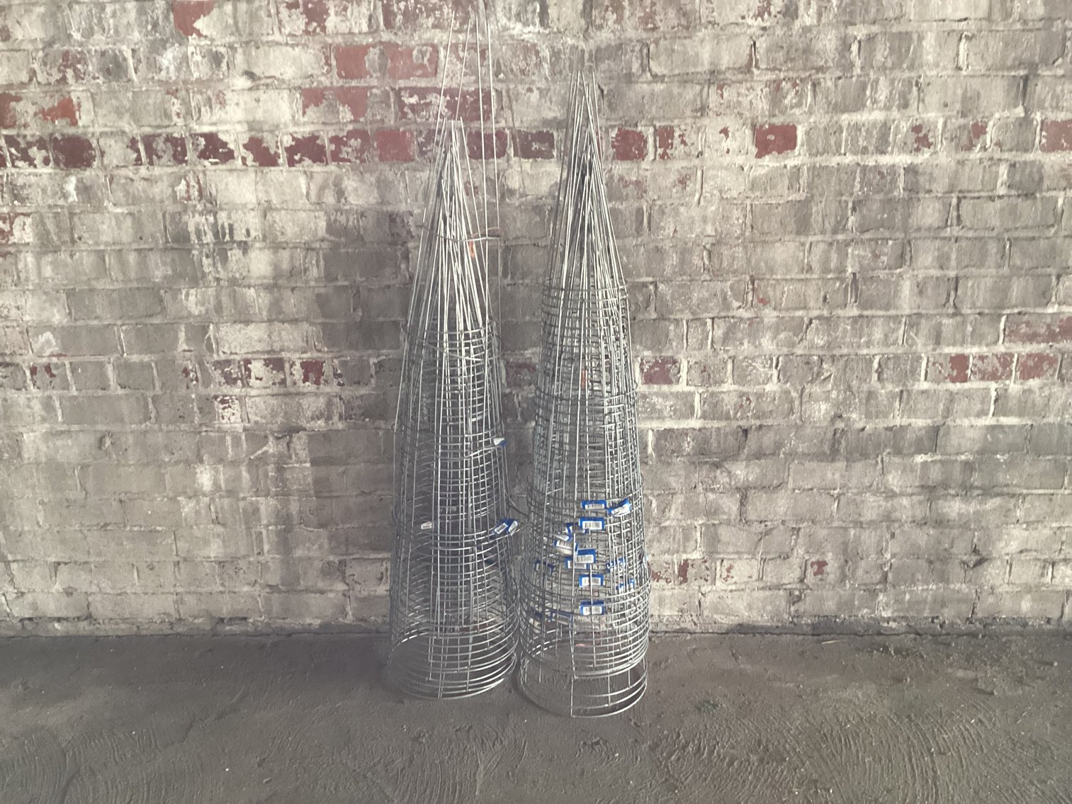 Image for Tomato Cages