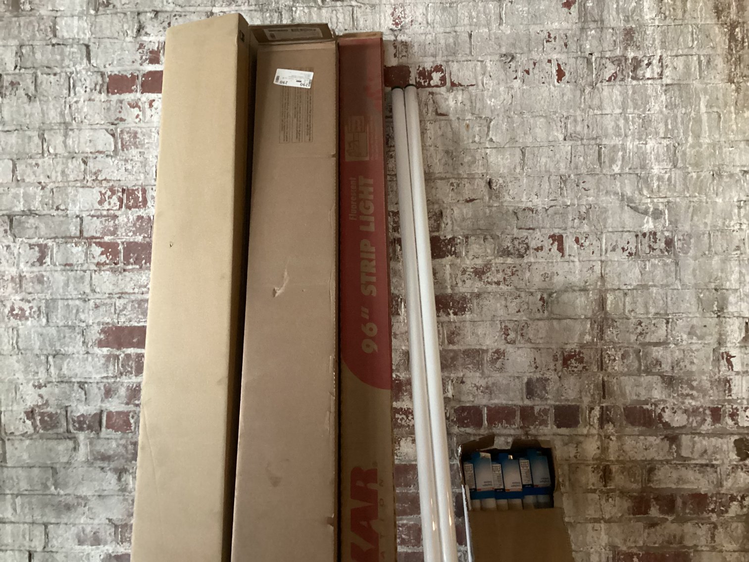 Image for Fluorescent Bulbs and One Light Fixture