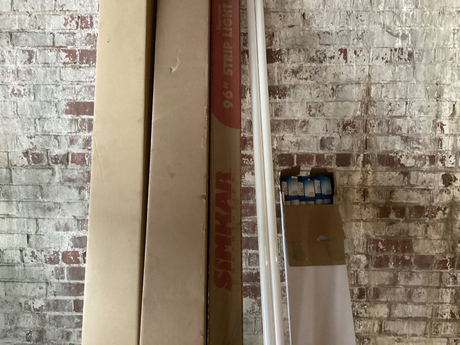 Image for Fluorescent Bulbs and One Light Fixture