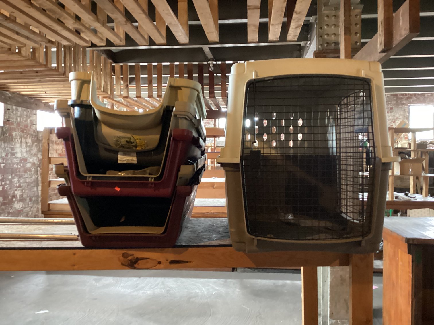 Image for Dog Crate and Dog Houses