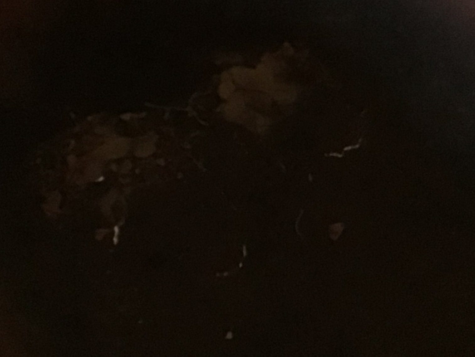 Image for Wheel Barrow