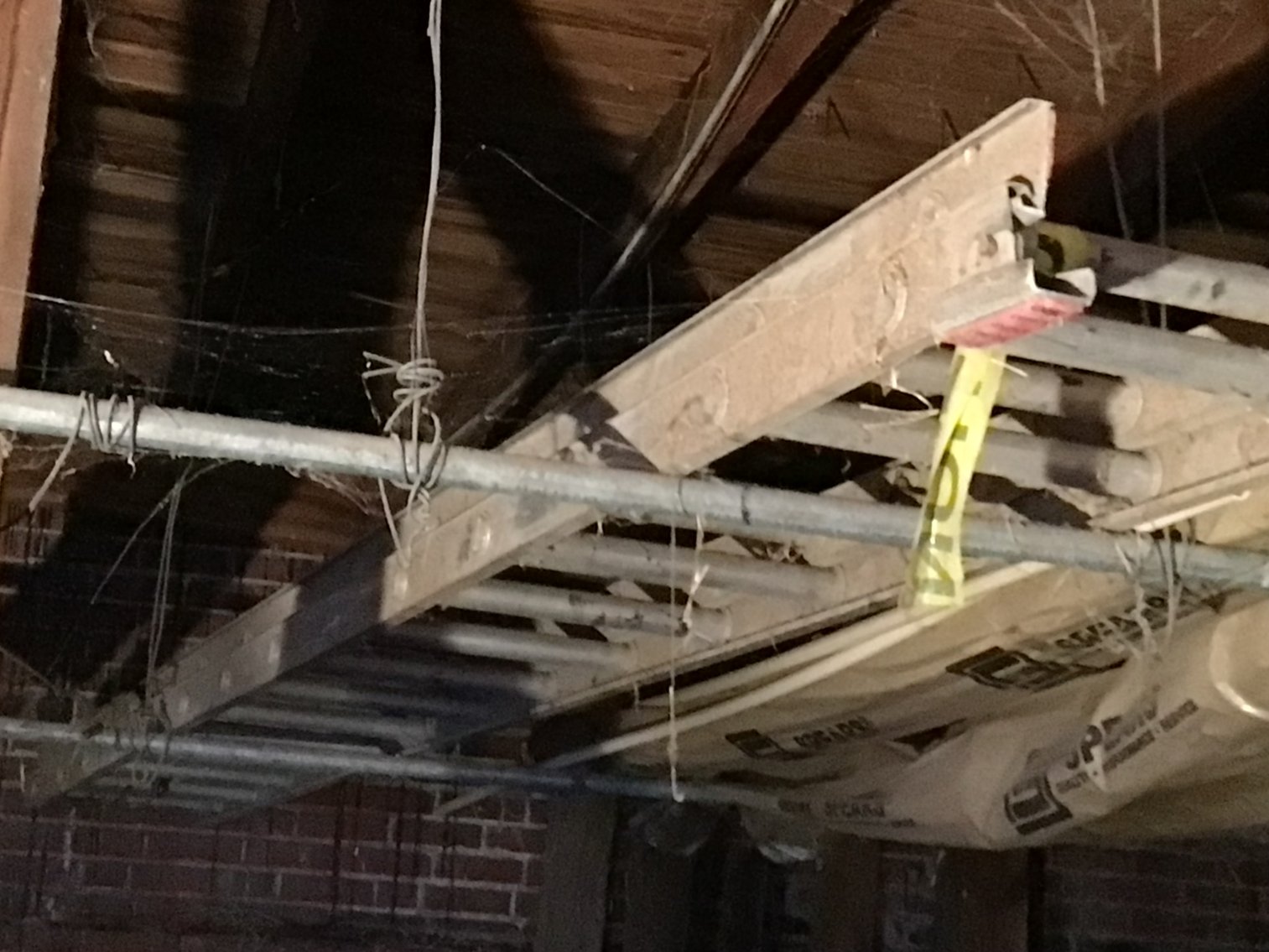 Image for Extension Ladder