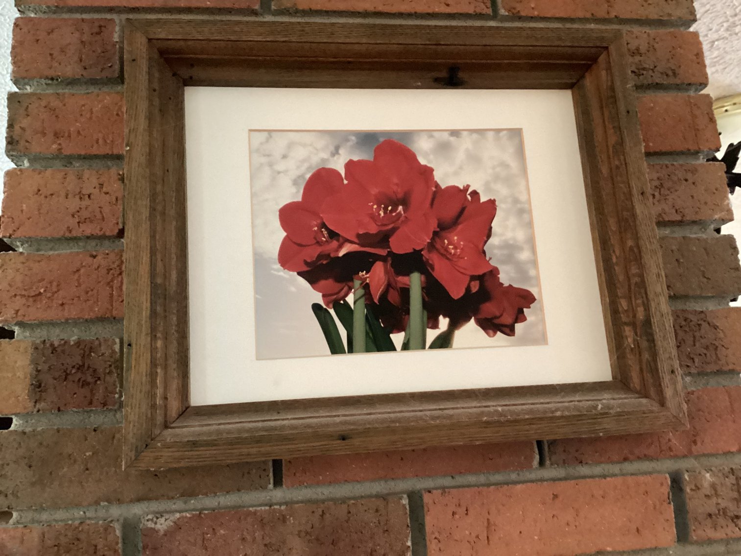 Image for Pictures in Hand Made Frames