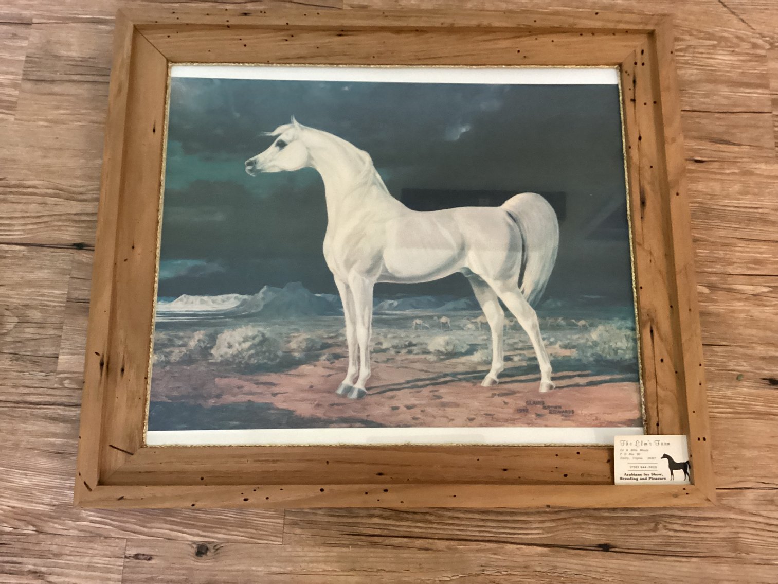 Image for Pictures in Hand Made Frames