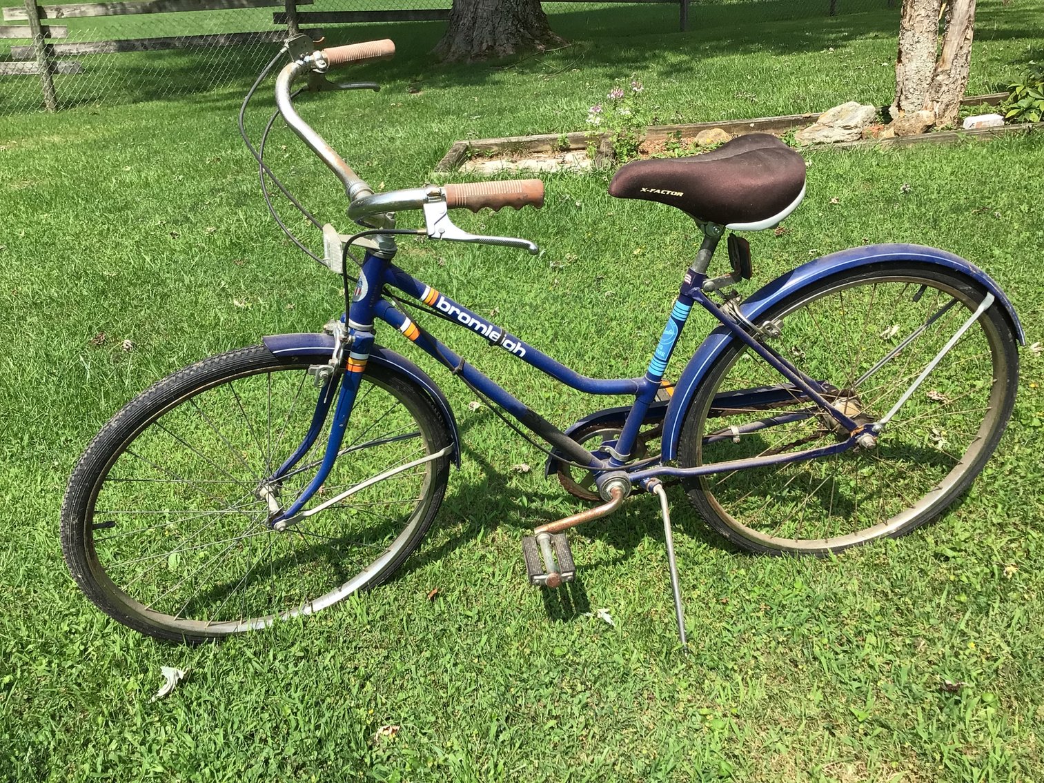 Image for Ladies Bike - Size Small