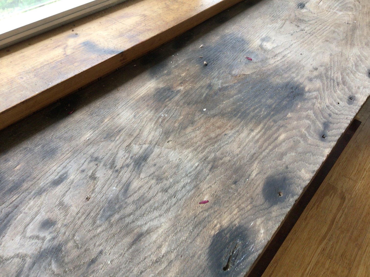 Image for Plant Table