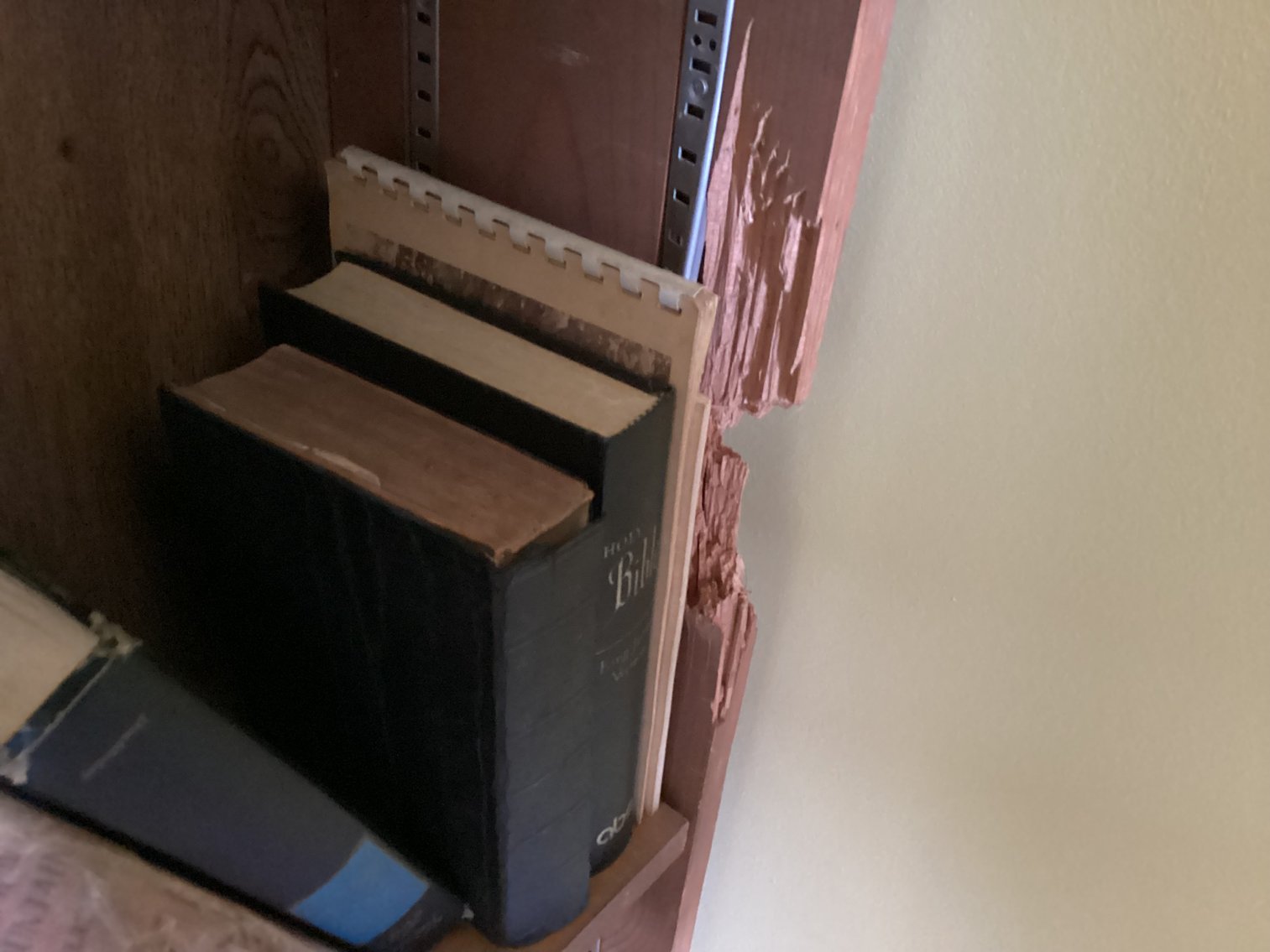 Image for Bookcase and Books