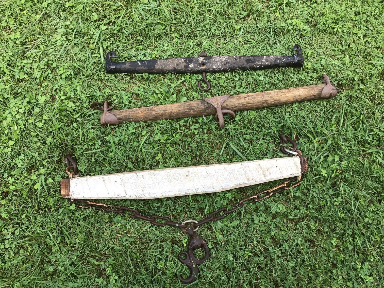 Image for Single-Tree Lot