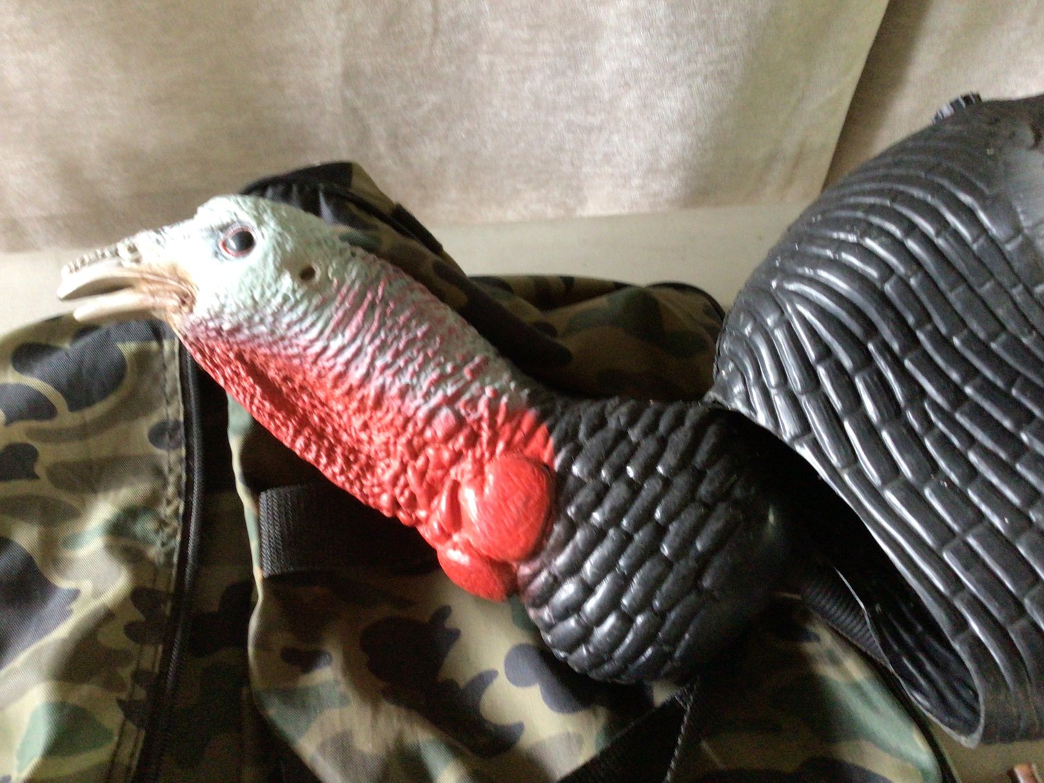 Image for Turkey Hunter’s Lot