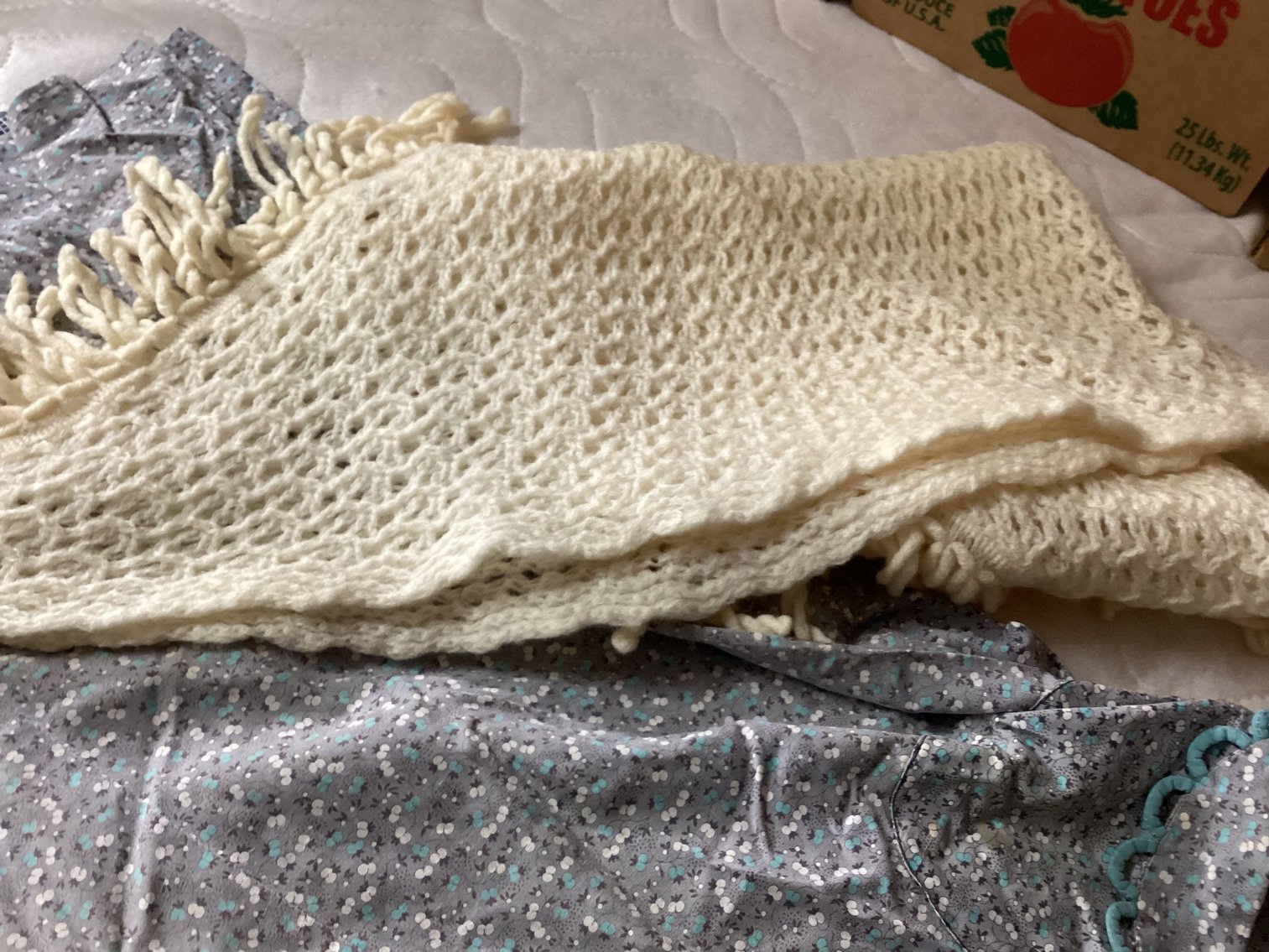 Image for Antique Dress and Shawl