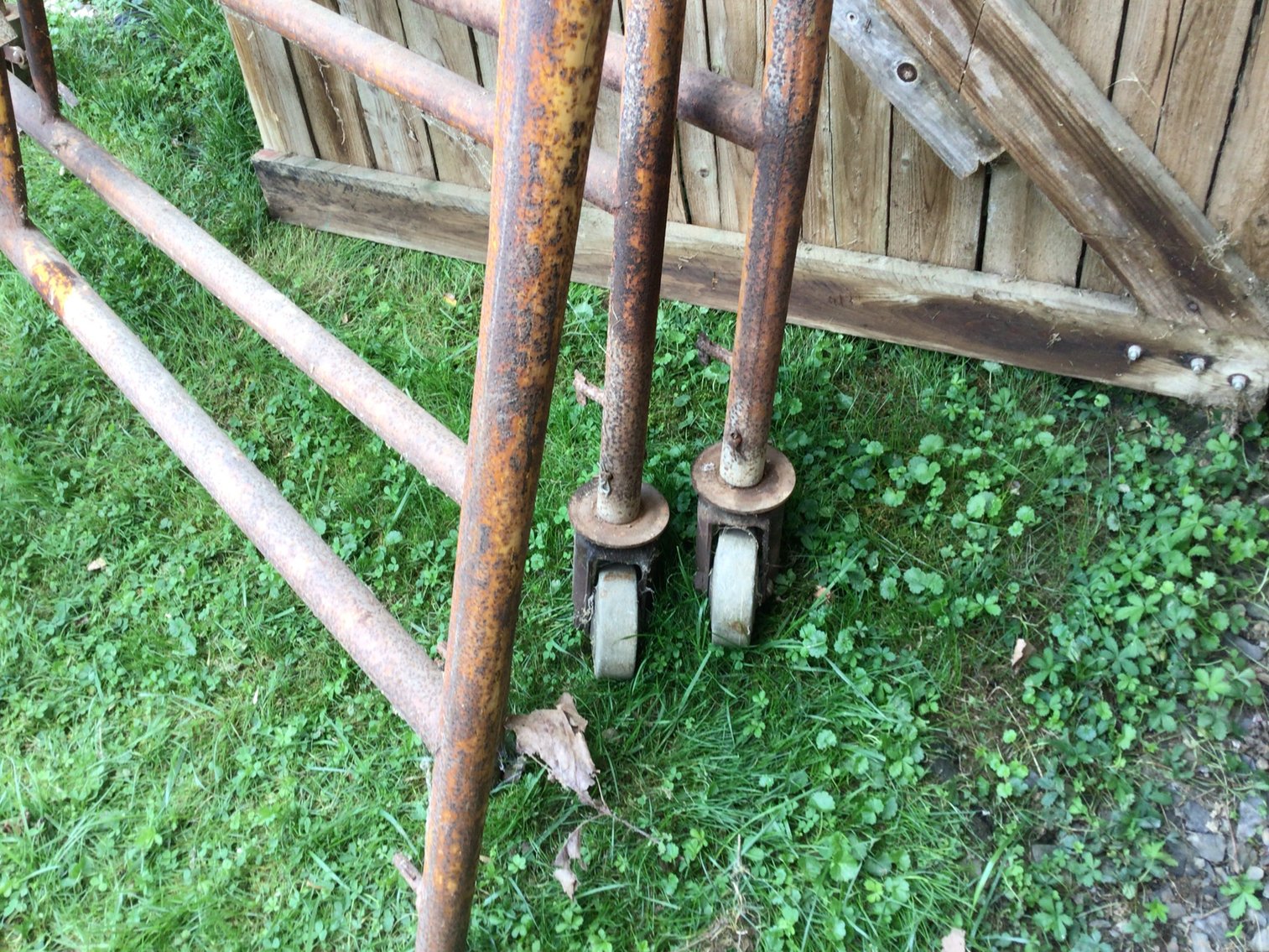 Image for Scaffolding