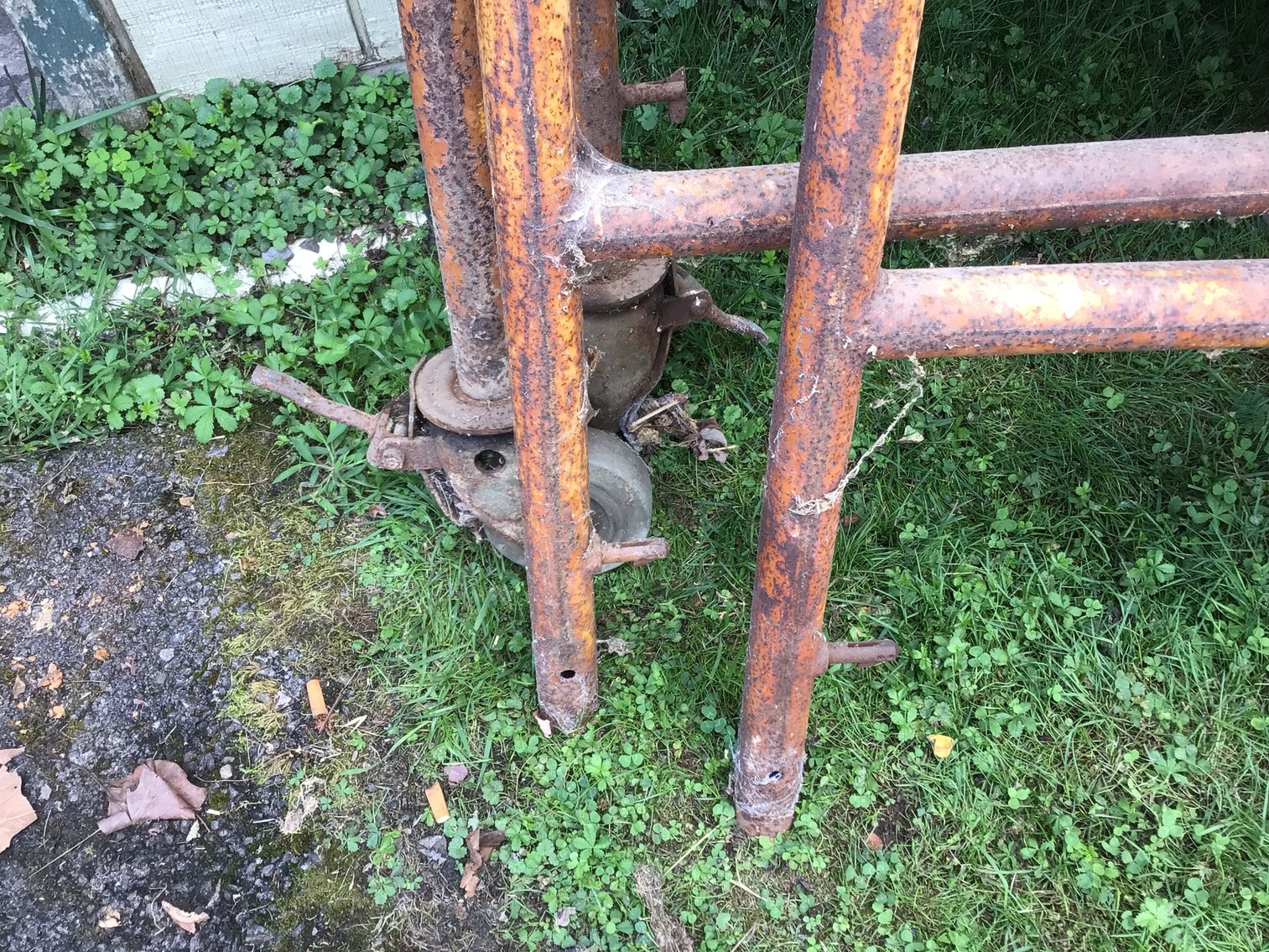 Image for Scaffolding