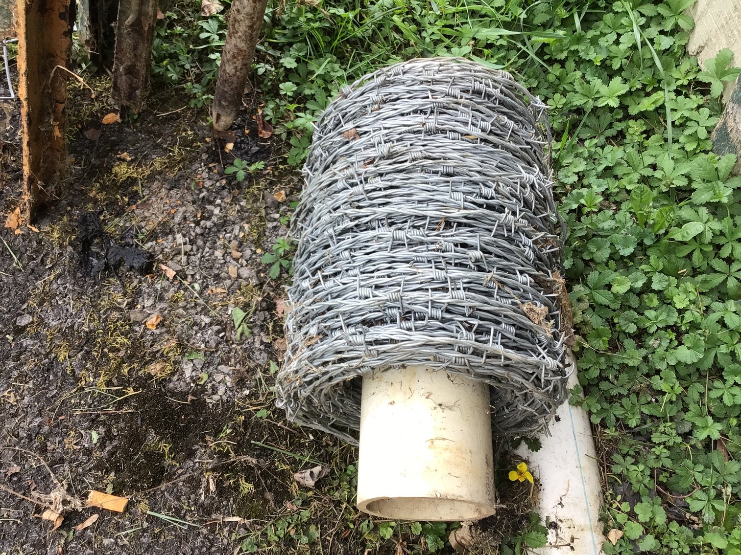 Image for Fencing Lot