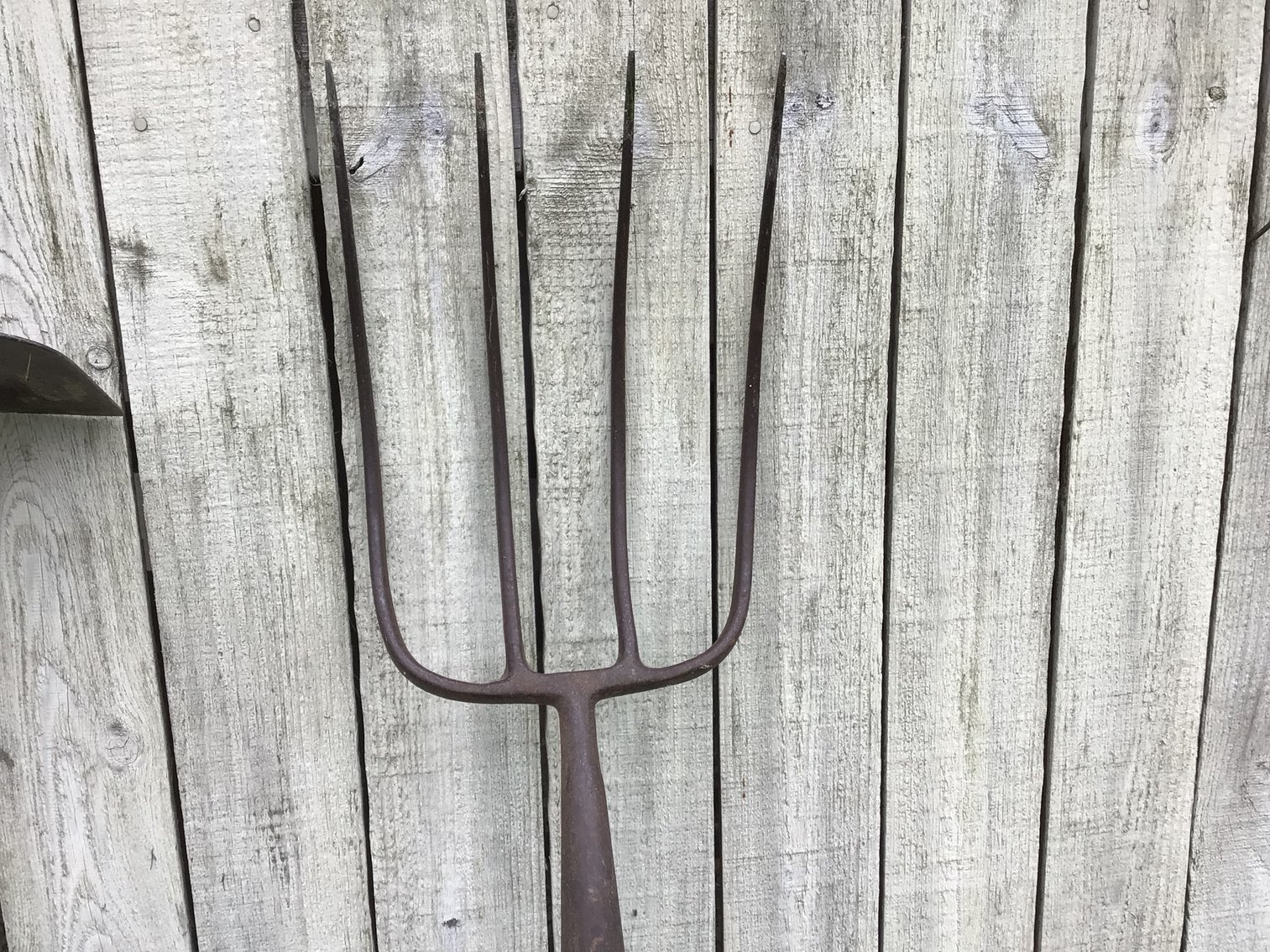 Image for Gardening Tools - Lot 2