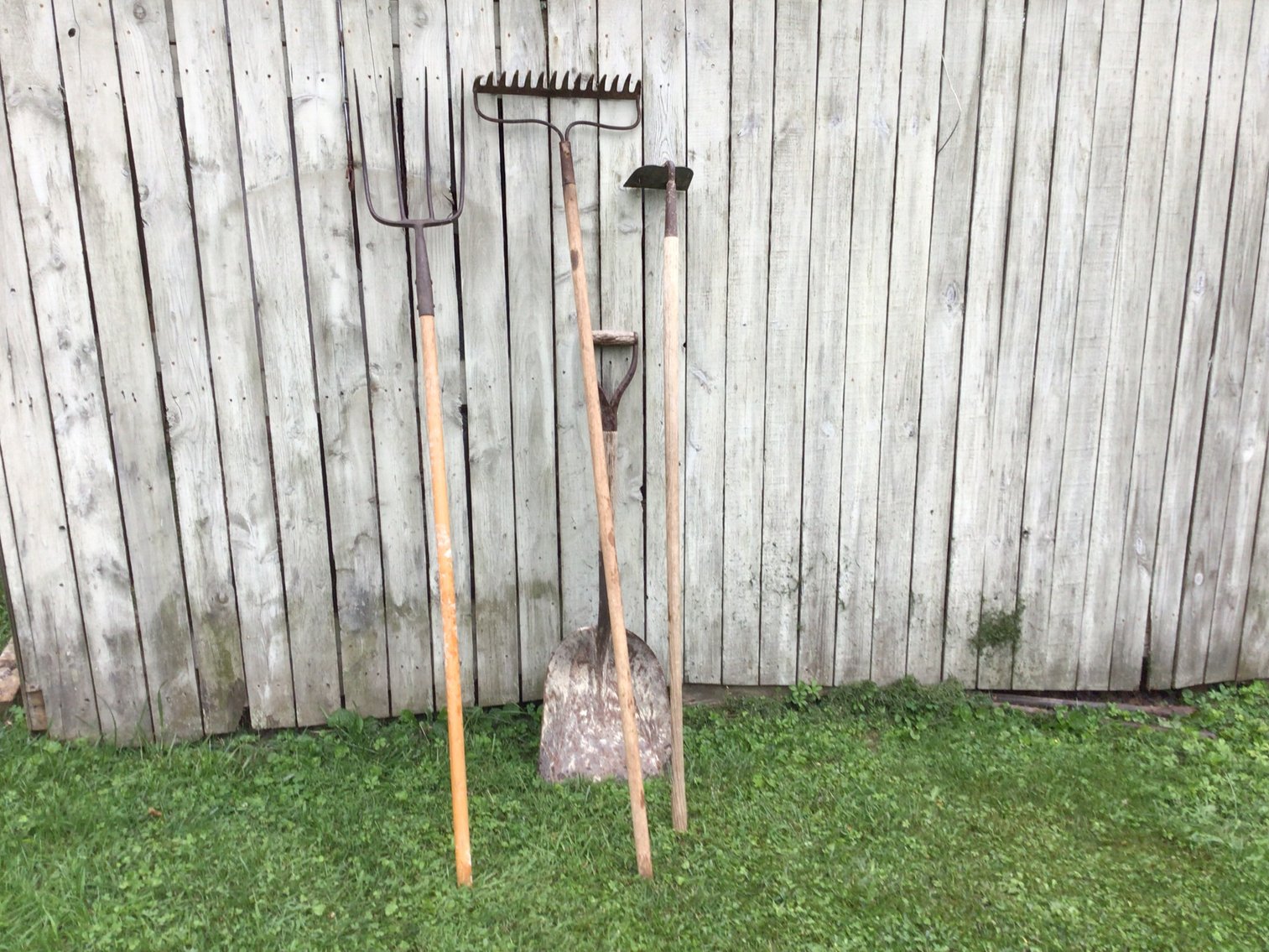 Image for Gardening Tools - Lot 2