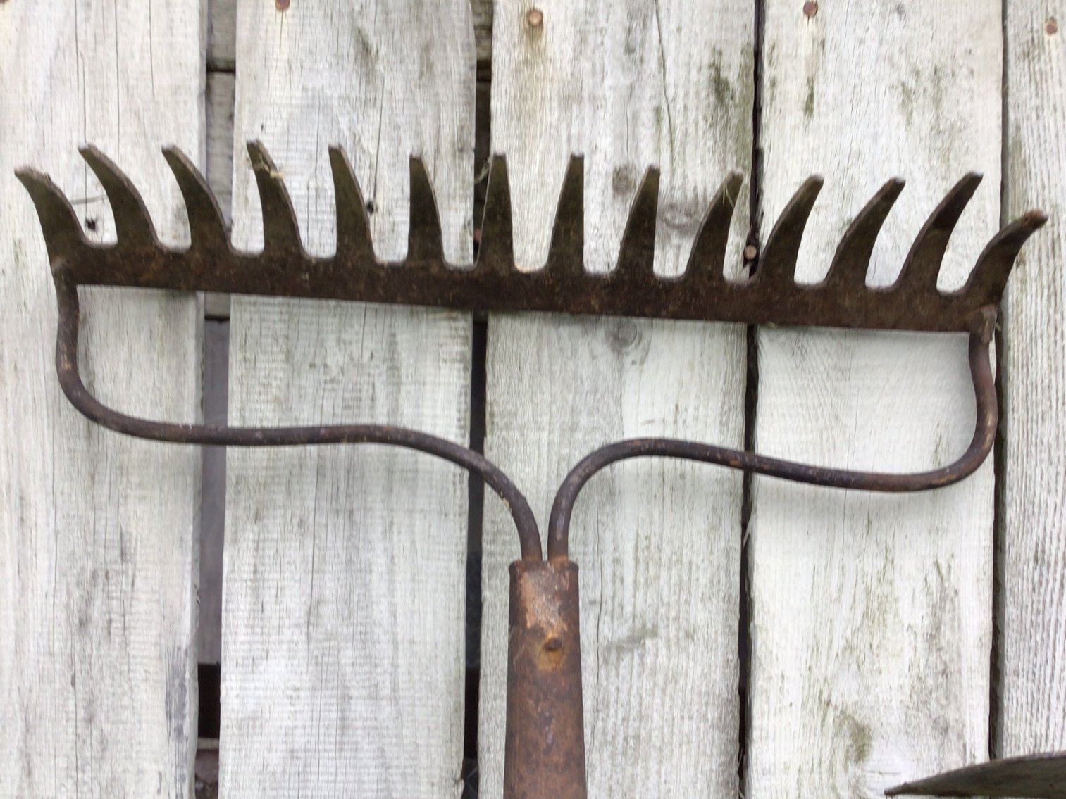 Image for Gardening Tools - Lot 2