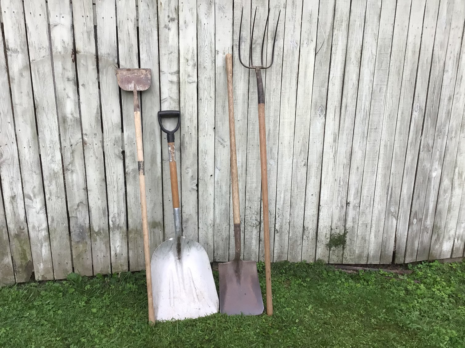Image for Gardening Tools - Lot 3