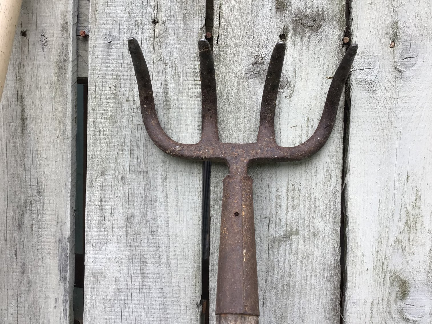 Image for Gardening Tools - Lot 1