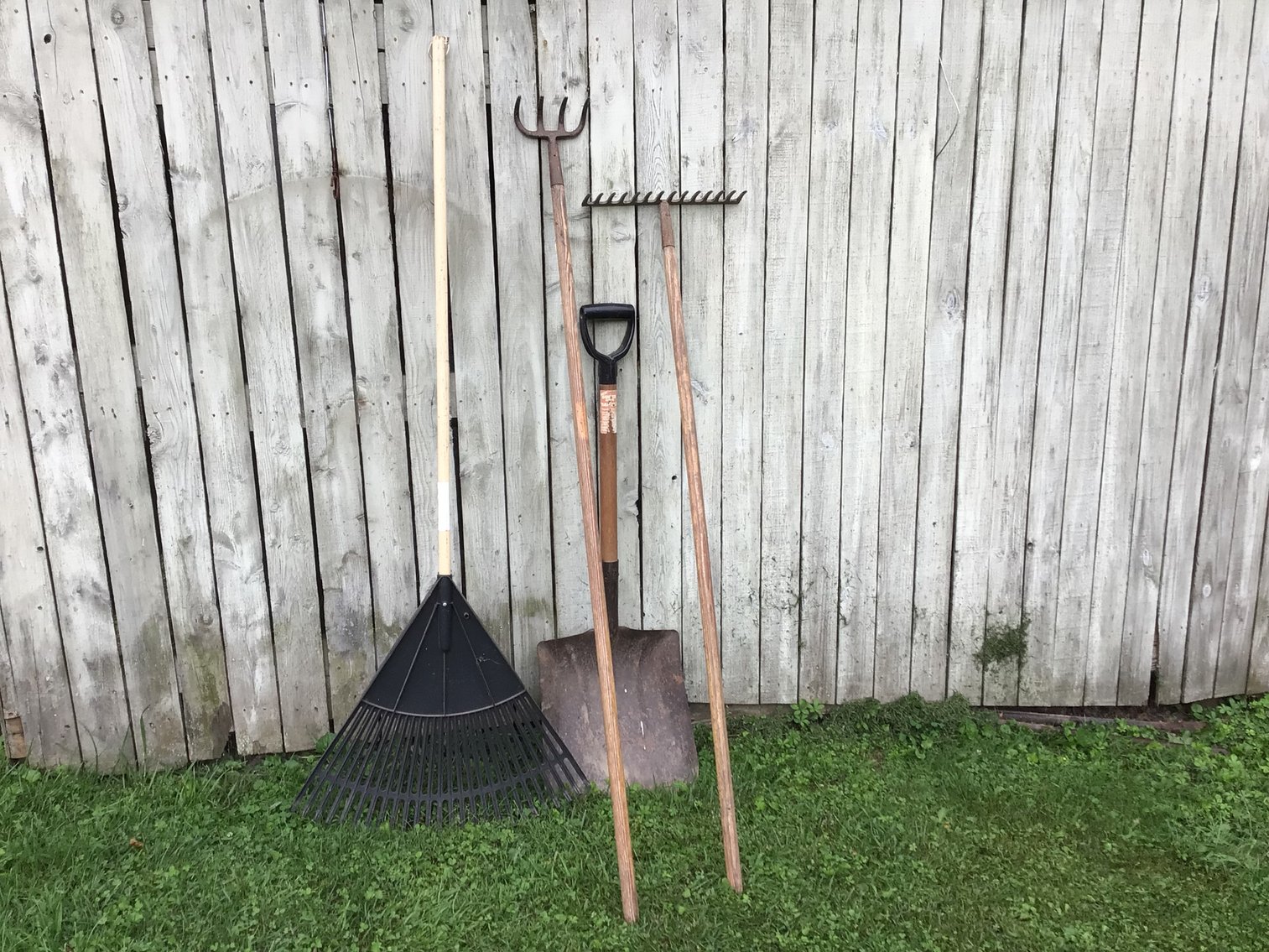 Image for Gardening Tools - Lot 1