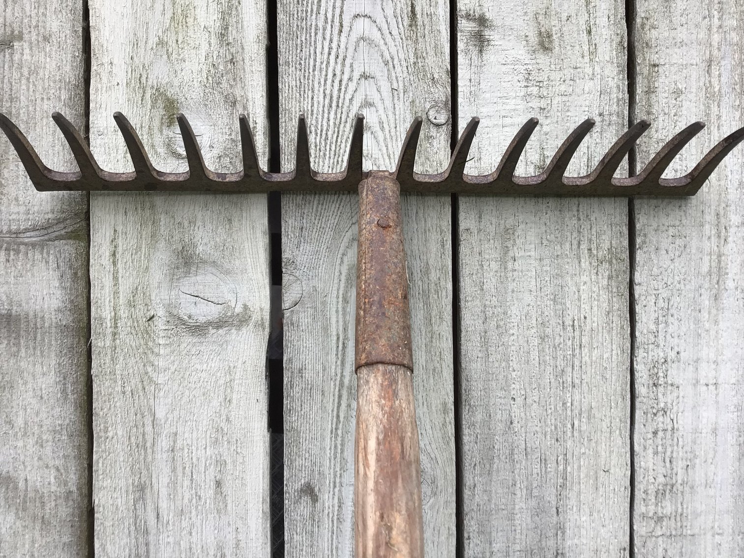 Image for Gardening Tools - Lot 1