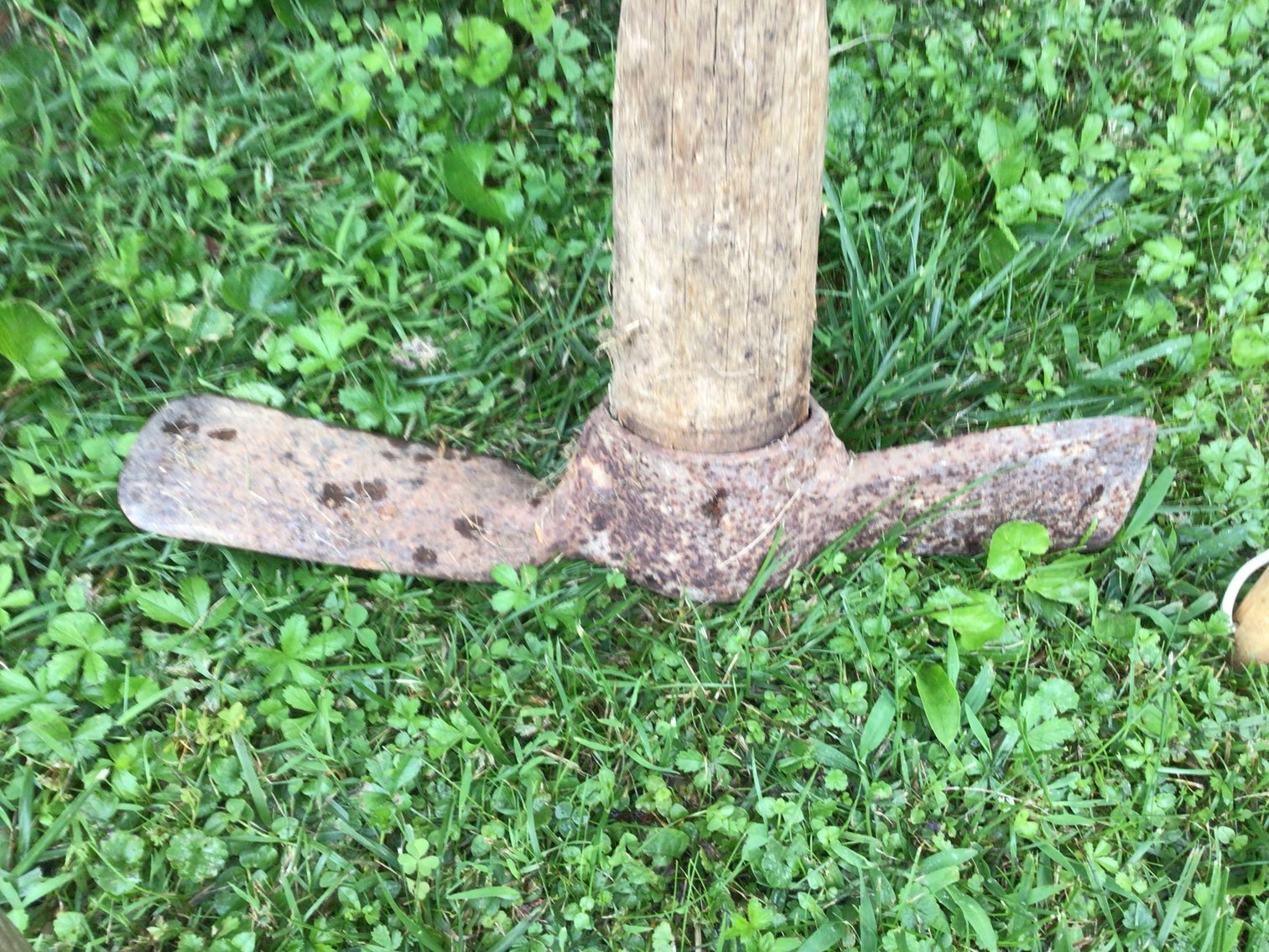 Image for Garden Tools - Lot 4