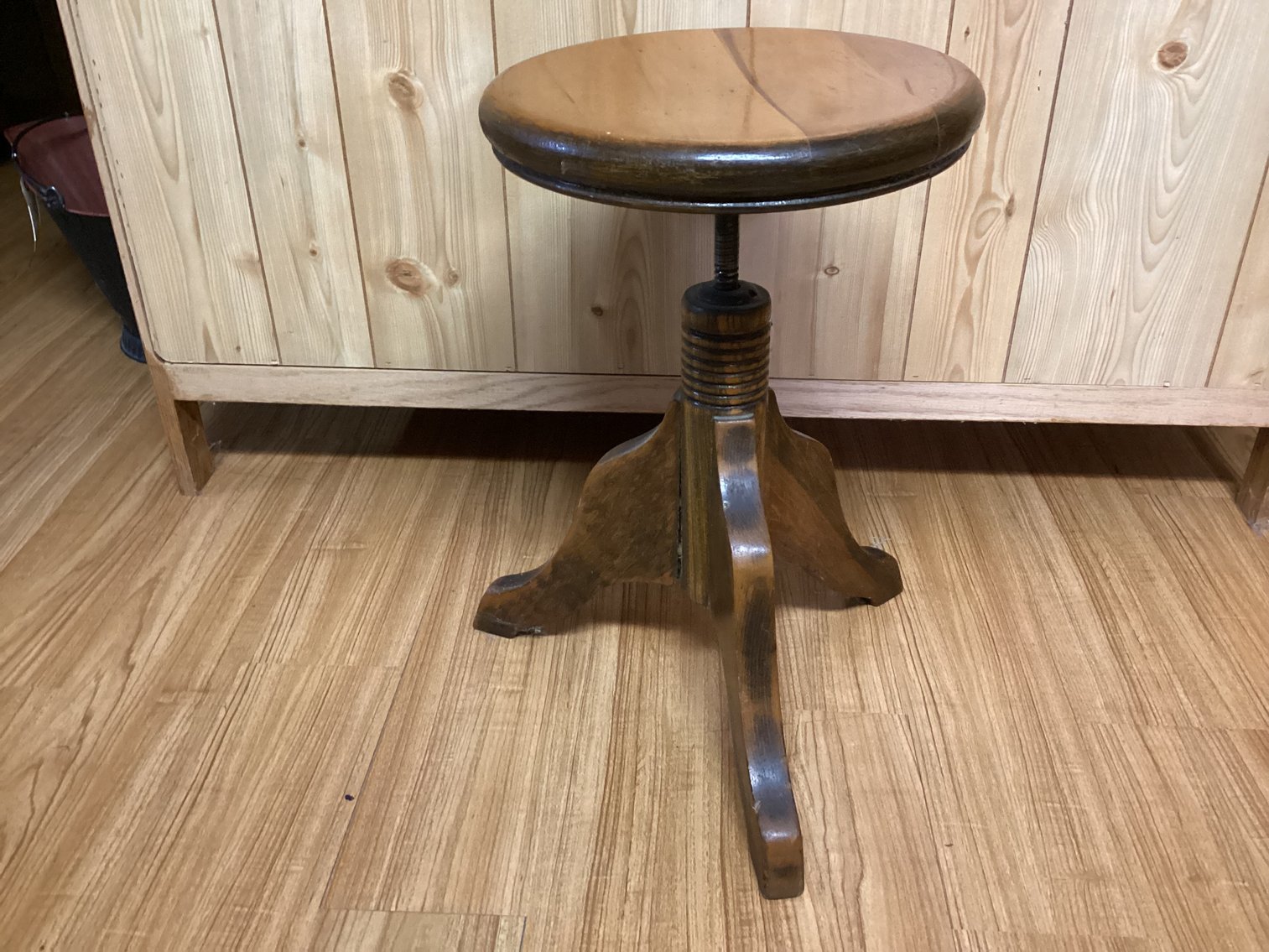 Image for Organ Stool