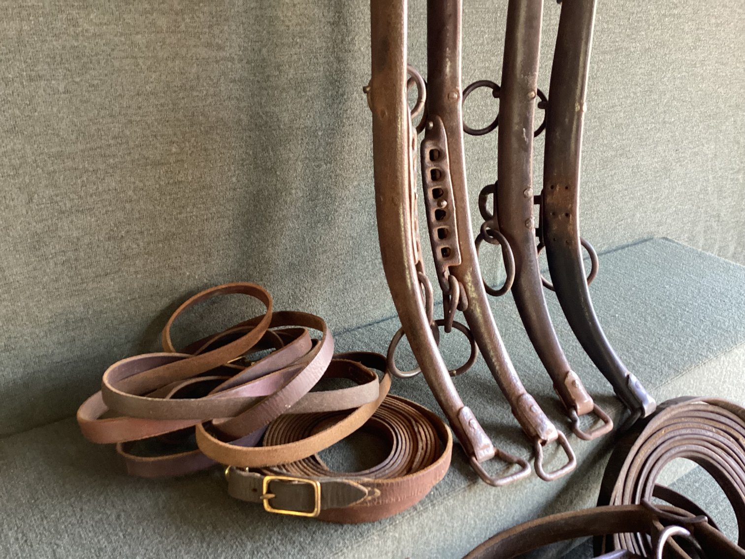 Image for Horse Hames and Reins