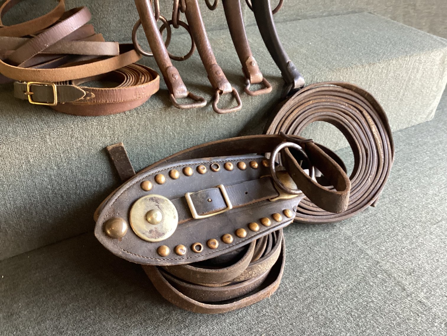 Image for Horse Hames and Reins