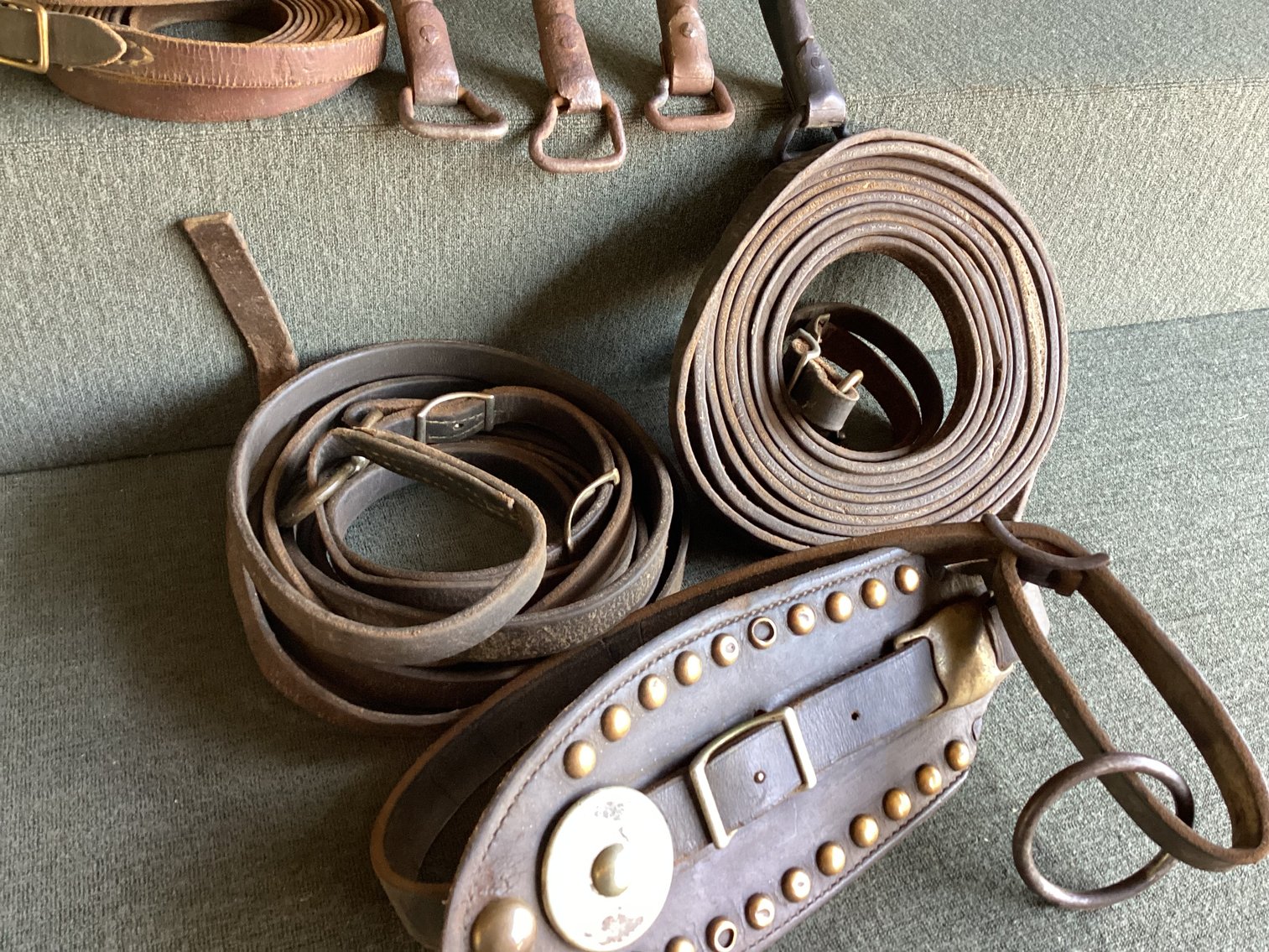 Image for Horse Hames and Reins