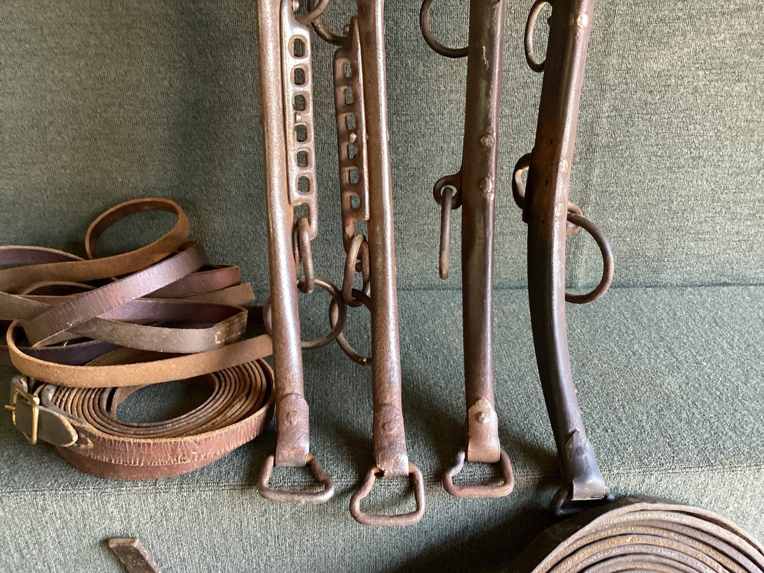 Image for Horse Hames and Reins