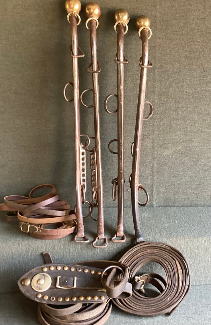 Image for Horse Hames and Reins