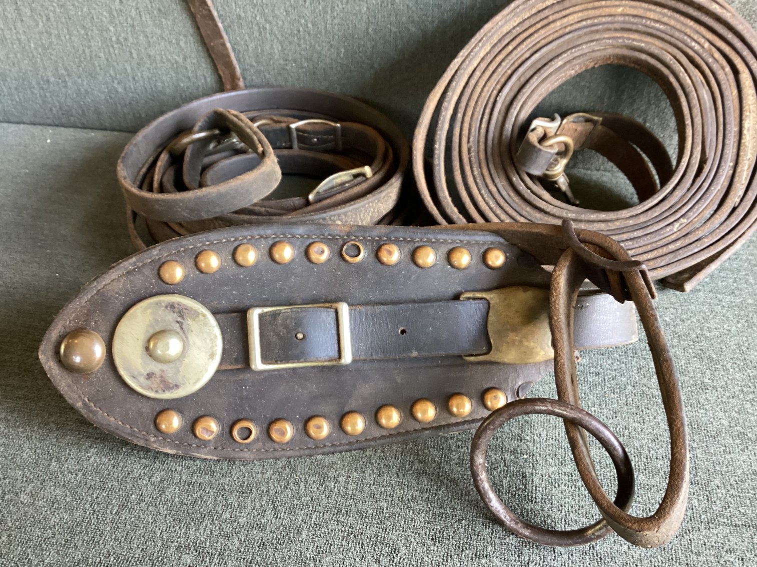 Image for Horse Hames and Reins