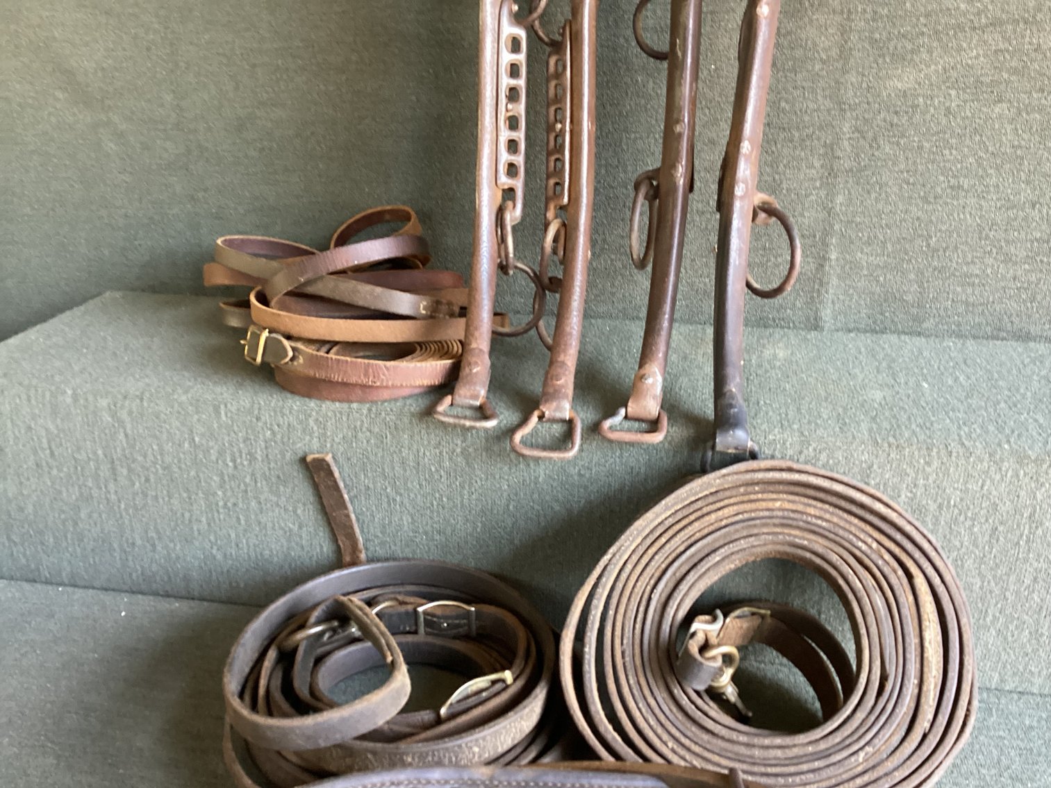 Image for Horse Hames and Reins