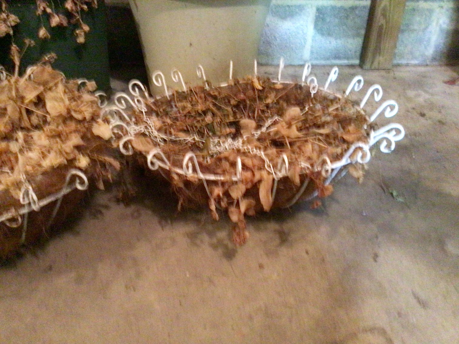 Image for Hanging baskets, plastic planters, baskets