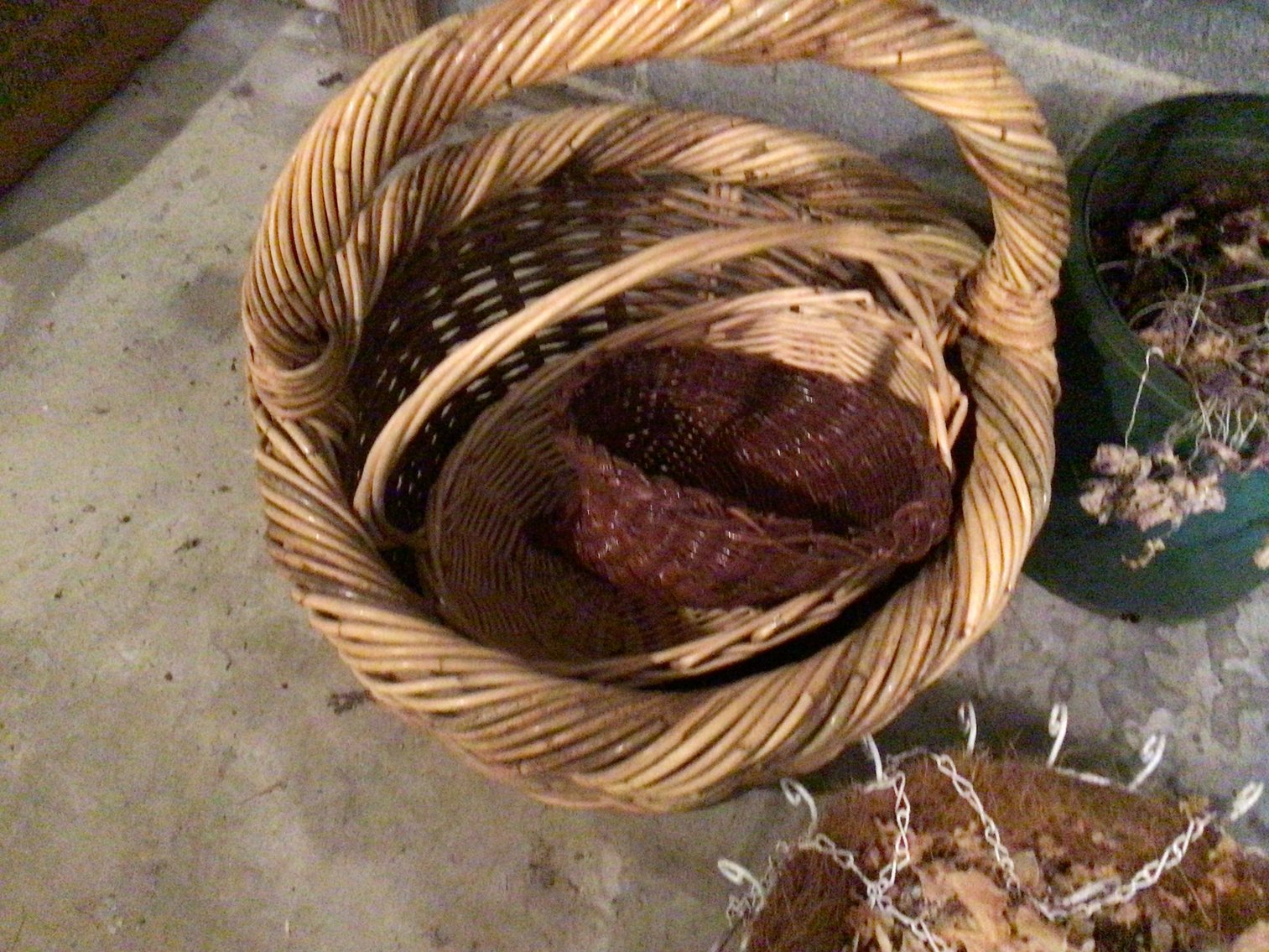 Image for Hanging baskets, plastic planters, baskets