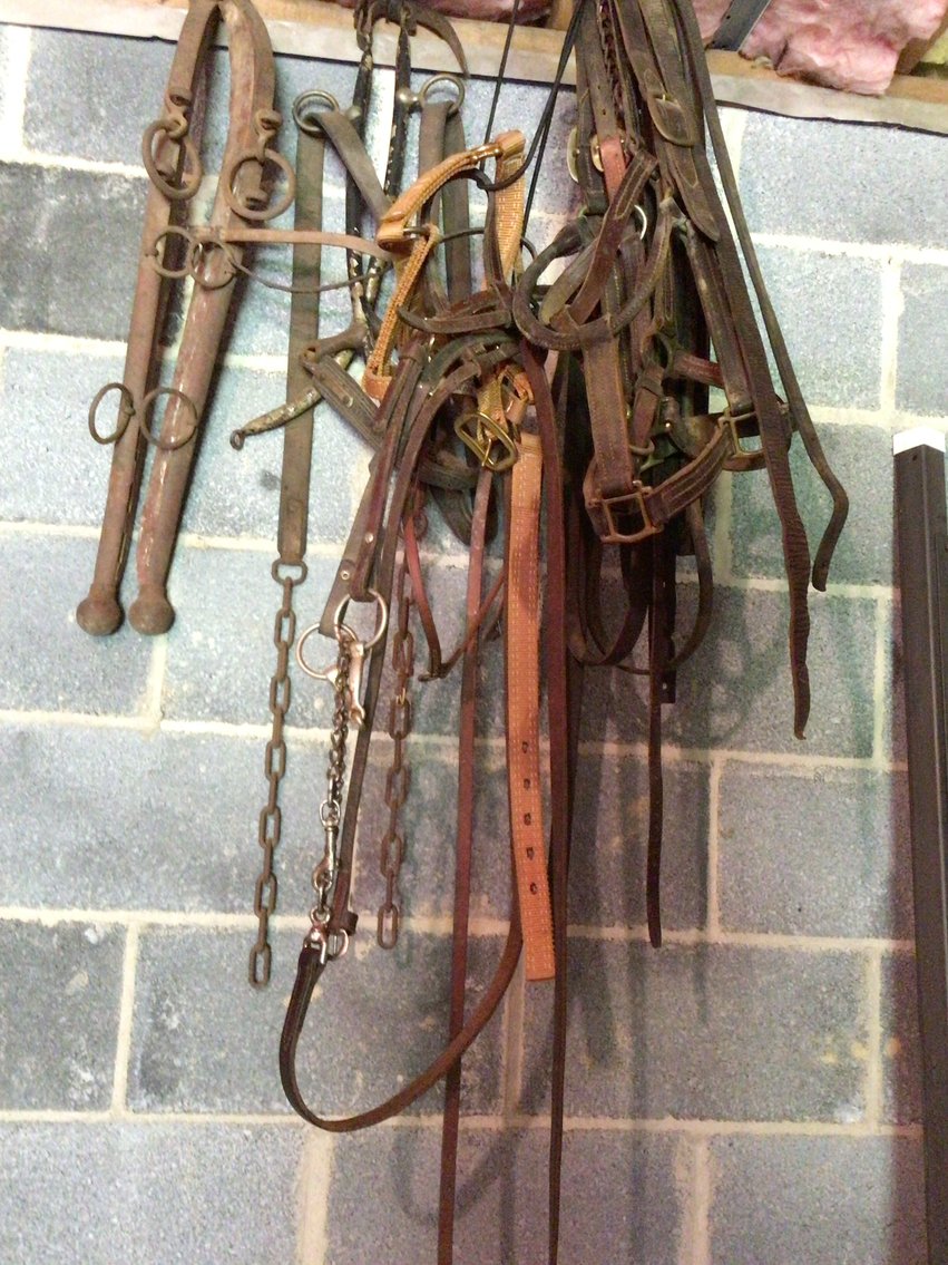 Image for Several bridles, leads, hames