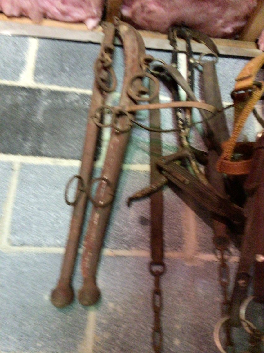 Image for Several bridles, leads, hames