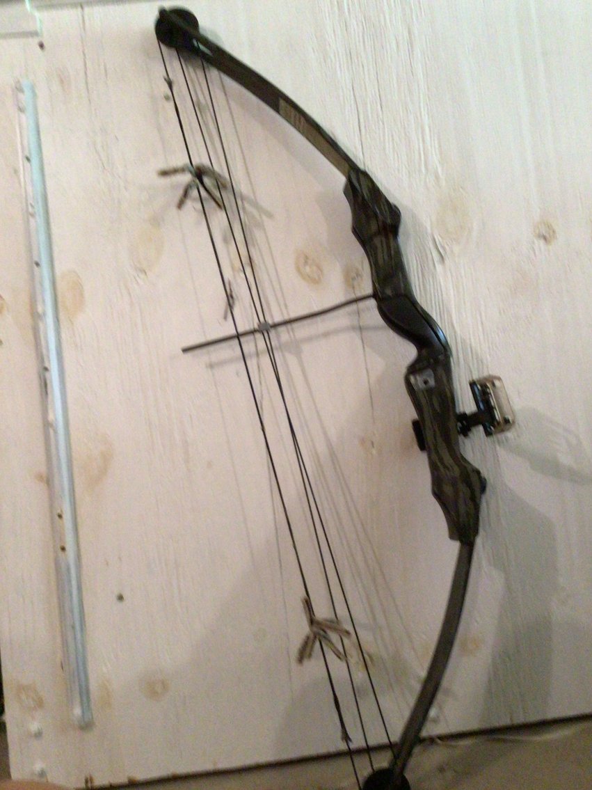 Image for Hunting bows & arrows