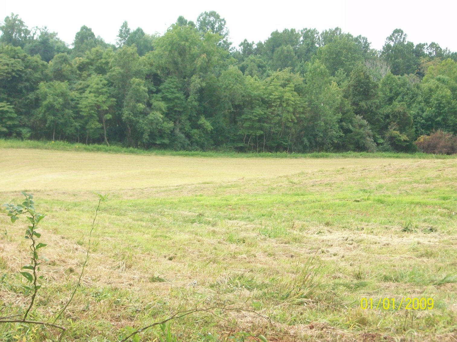 Image for Rixeyville VA 122.02 acres