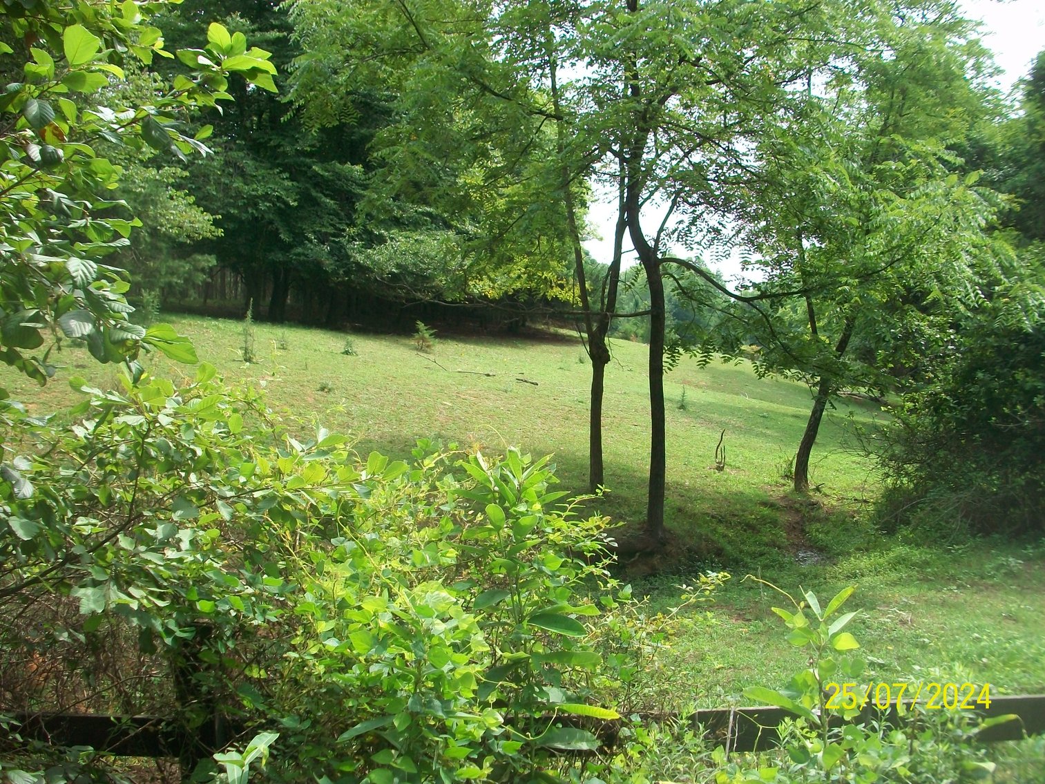 Image for Tract 2 - 22.52 acres with a phond