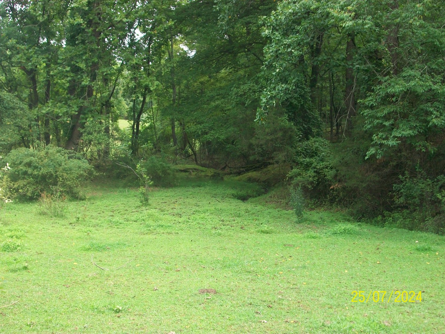 Image for Tract 2 - 22.52 acres with a phond