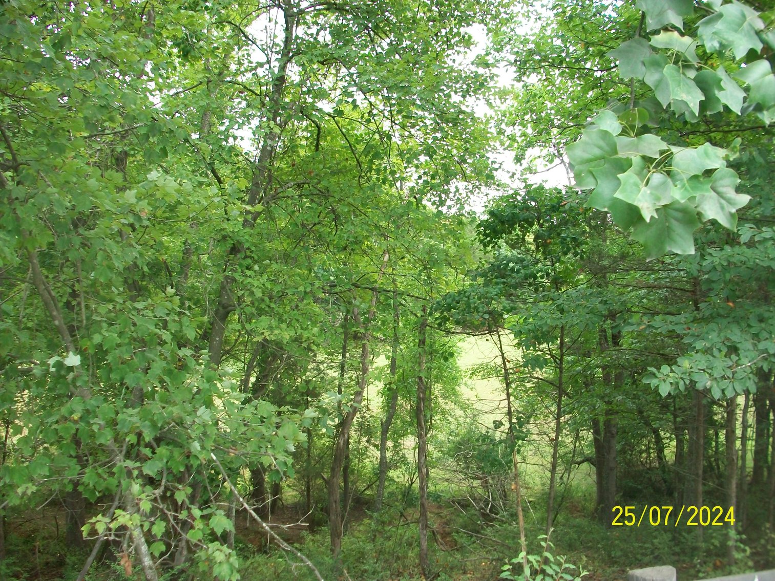 Image for Tract 2 - 22.52 acres with a phond