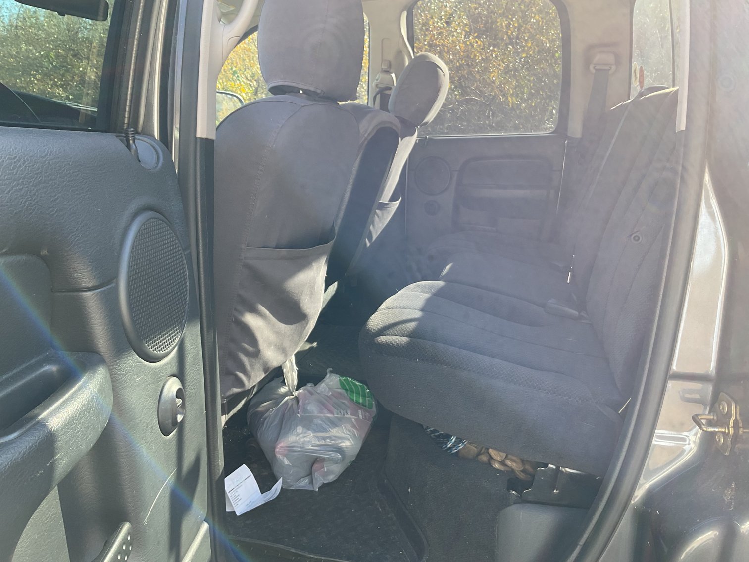 Image for 2002 Dodge RAM 1500 Pick Up Truck w/ Crew Cab