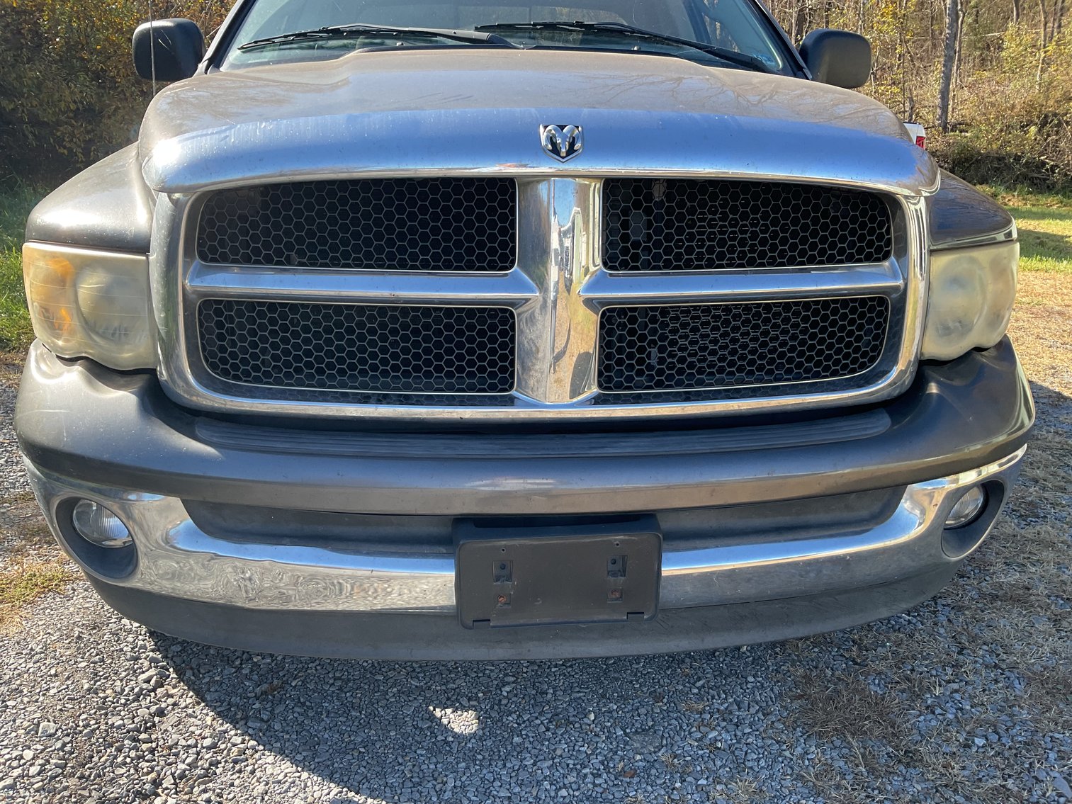 Image for 2002 Dodge RAM 1500 Pick Up Truck w/ Crew Cab