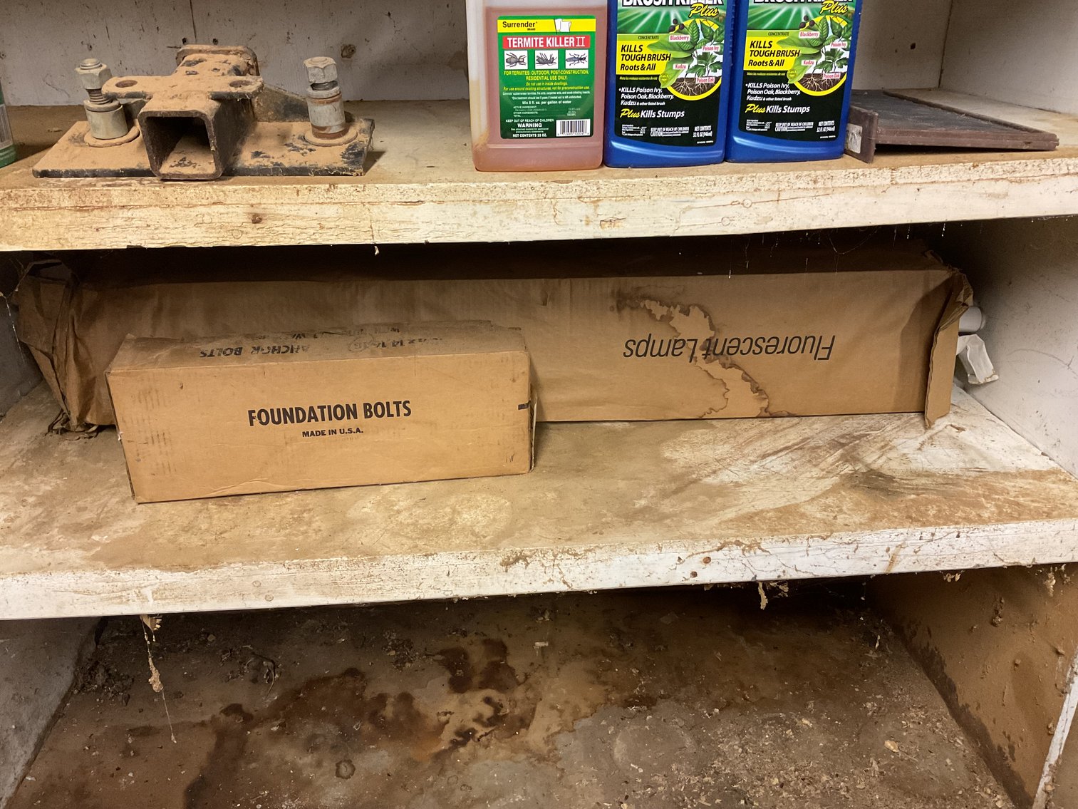 Image for Shelf Lot