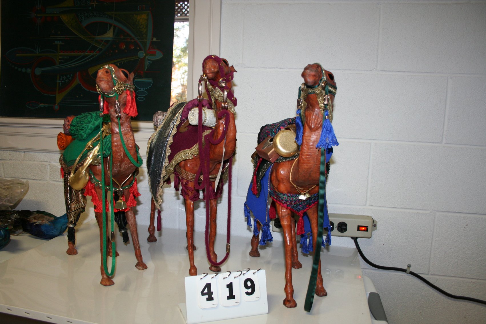 Image for Camels (3) 21