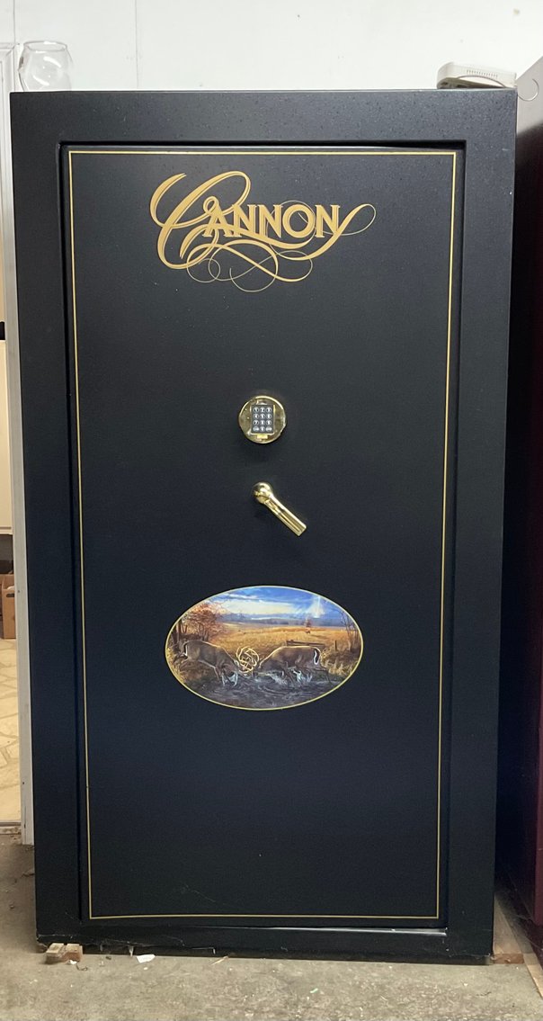 Image for Cannon Safe