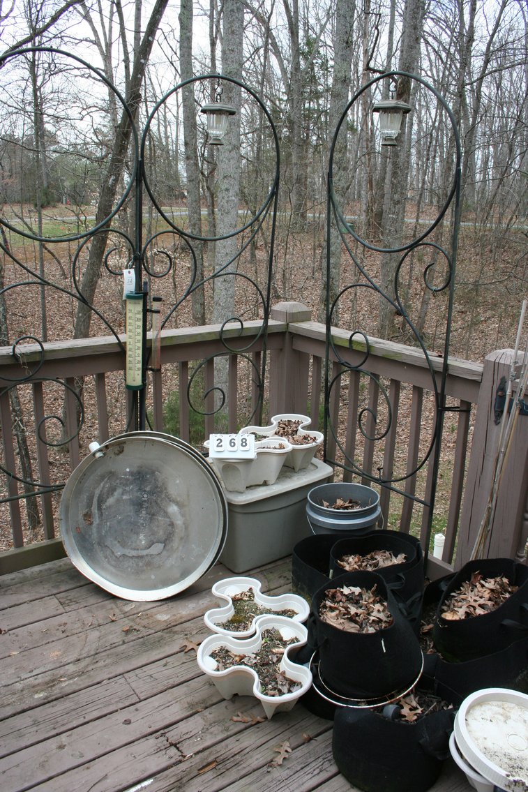 Image for Planters