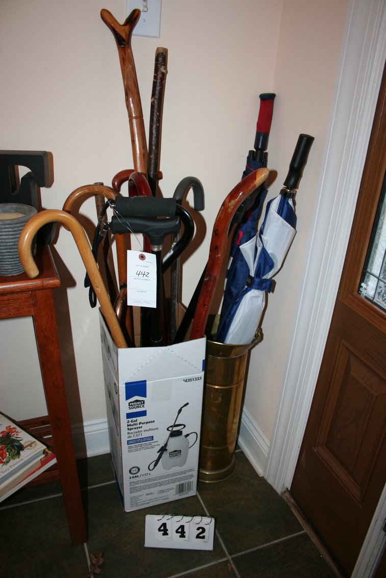 Image for Canes & Umbrellas