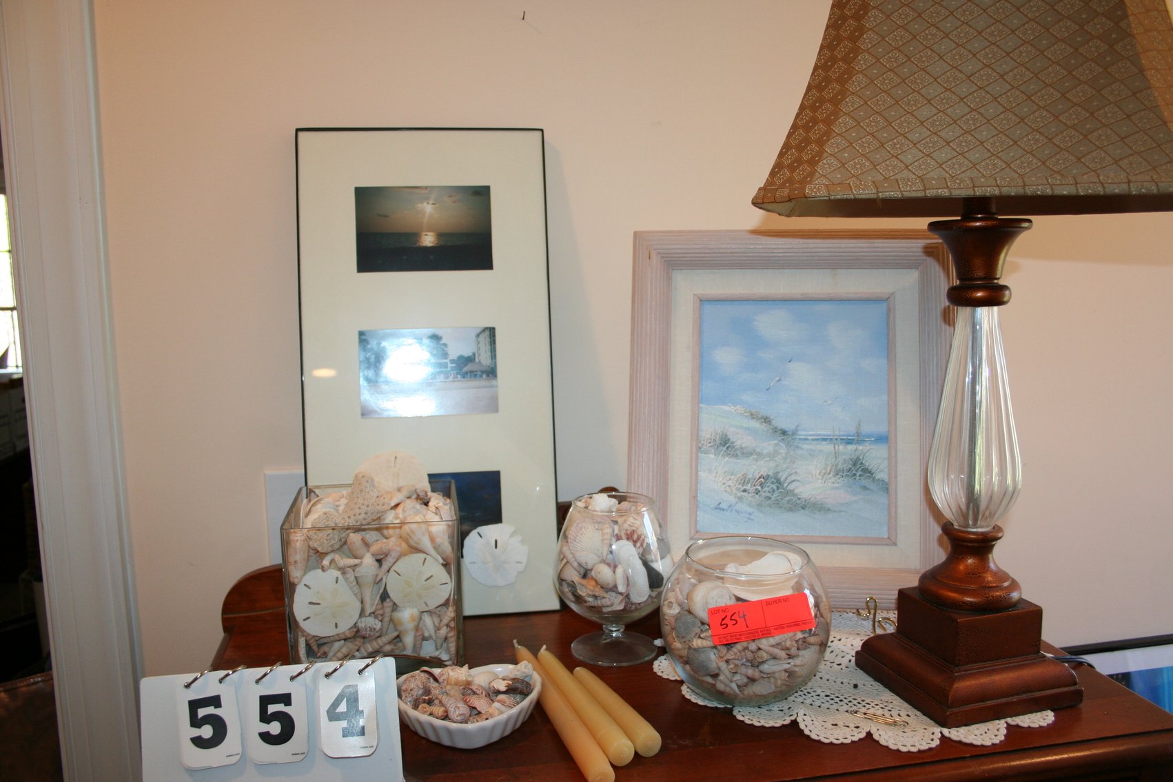 Image for Seashell Collection & Contents